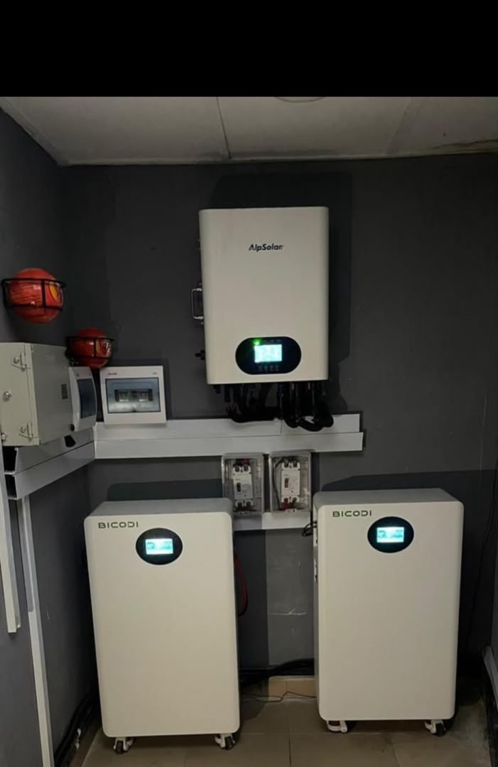 Hybrid inverter with two lithium batteries for the retail business installation